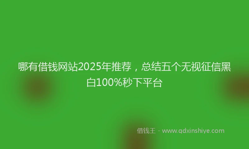 哪有借钱网站2025年推荐，总结五个无视征信黑白100%秒下平台