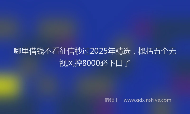 哪里借钱不看征信秒过2025年精选，概括五个无视风控8000必下口子