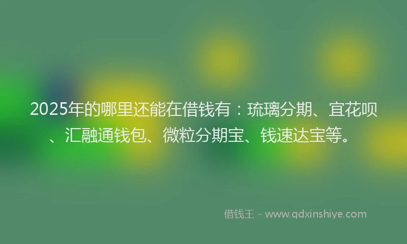 2025年的哪里还能在借钱有:琉璃分期、宜花呗、汇融通钱包、微粒分期宝、钱速达宝等。