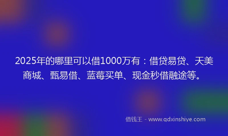 2025年的哪里可以借1000万有：借贷易贷、天美商城、甄易借、蓝莓买单、现金秒借融途等。