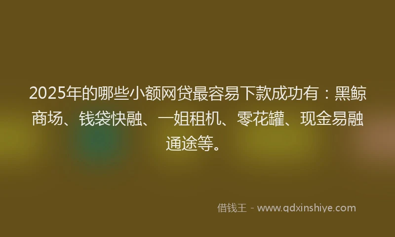 2025年的哪些小额网贷最容易下款成功有：黑鲸商场、钱袋快融、一姐租机、零花罐、现金易融通途等。