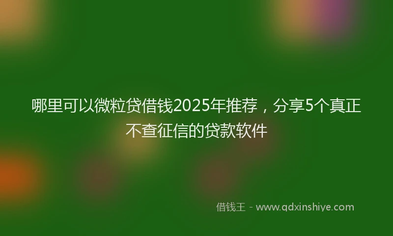 哪里可以微粒贷借钱2025年推荐，分享5个真正不查征信的贷款软件