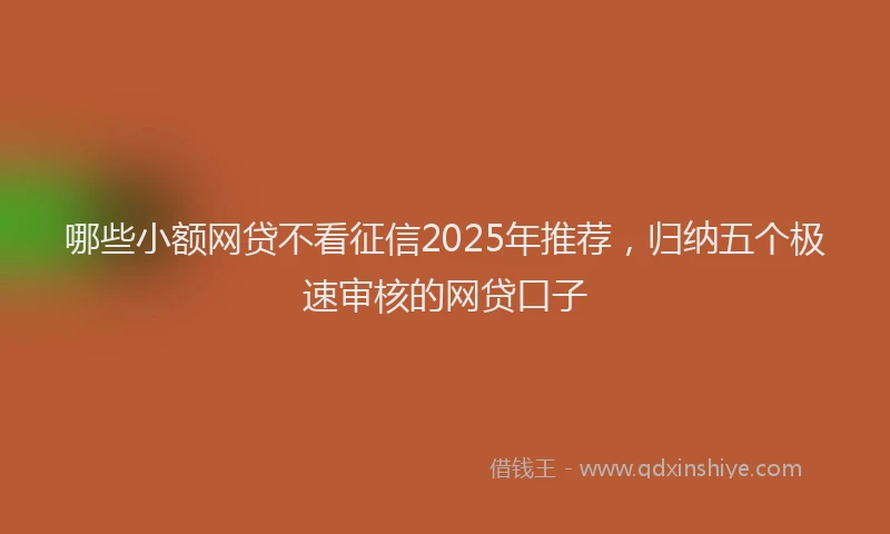哪些小额网贷不看征信2025年推荐，归纳五个极速审核的网贷口子