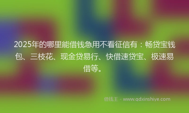2025年的哪里能借钱急用不看征信有：畅贷宝钱包、三枝花、现金贷易行、快借速贷宝、极速易借等。
