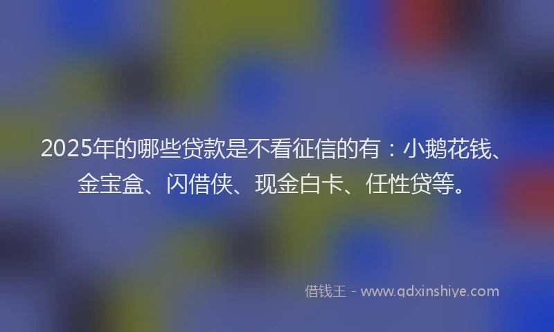 2025年的哪些贷款是不看征信的有：小鹅花钱、金宝盒、闪借侠、现金白卡、任性贷等。