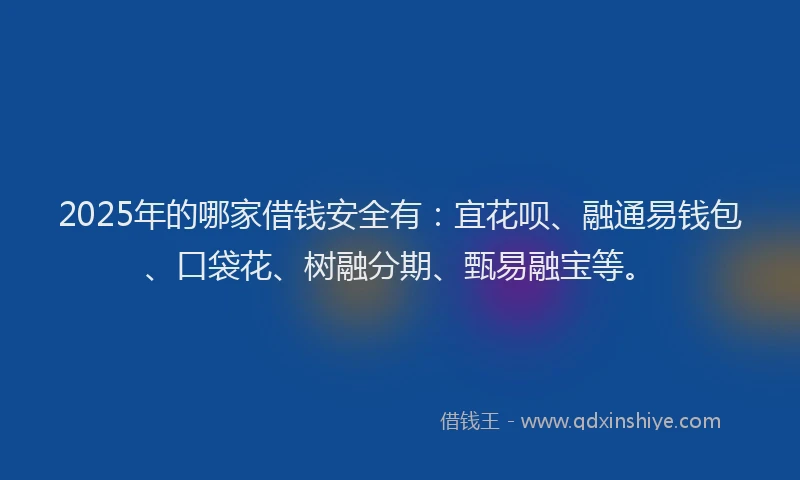 2025年的哪家借钱安全有：宜花呗、融通易钱包、口袋花、树融分期、甄易融宝等。