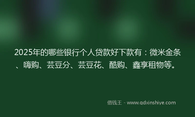 2025年的哪些银行个人贷款好下款有：微米金条、嗨购、芸豆分、芸豆花、酷购、鑫享租物等。