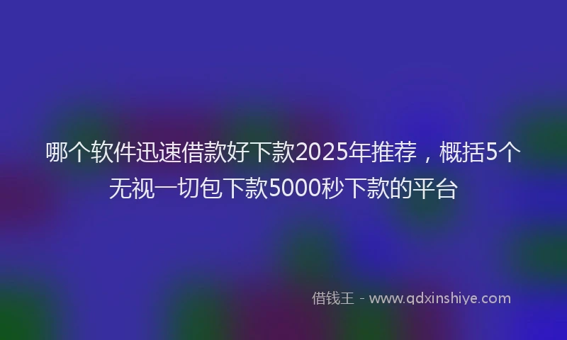 哪个软件迅速借款好下款2025年推荐,概括5个无视一切包下款5000秒下款的平台