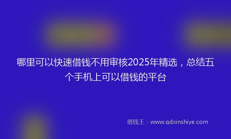 哪里可以快速借钱不用审核2025年精选，总结五个手机上可以借钱的平台