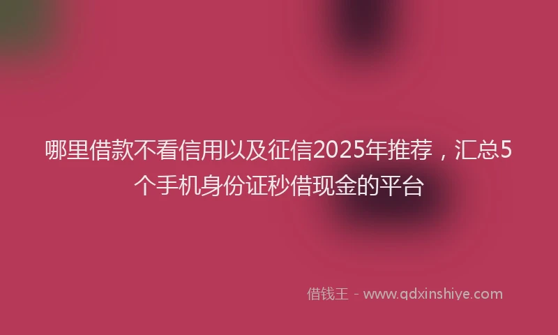 哪里借款不看信用以及征信2025年推荐，汇总5个手机身份证秒借现金的平台