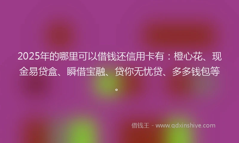 2025年的哪里可以借钱还信用卡有：橙心花、现金易贷盒、瞬借宝融、贷你无忧贷、多多钱包等。