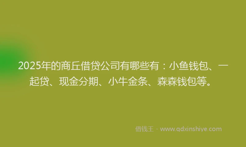 2025年的商丘借贷公司有哪些有：小鱼钱包、一起贷、现金分期、小牛金条、森森钱包等。