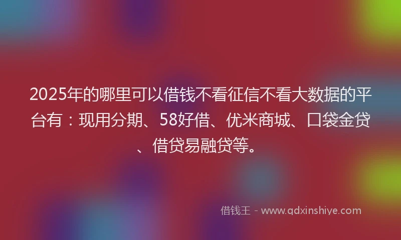 2025年的哪里可以借钱不看征信不看大数据的平台有：现用分期、58好借、优米商城、口袋金贷、借贷易融贷等。