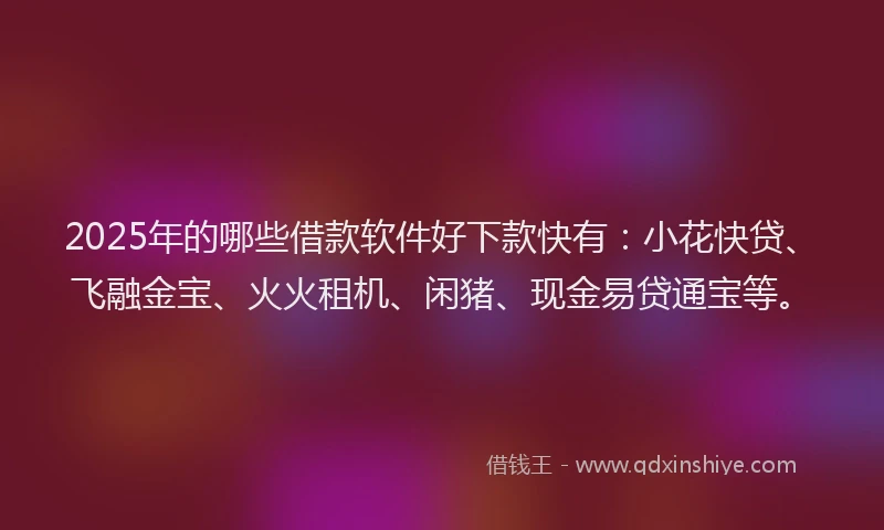 2025年的哪些借款软件好下款快有：小花快贷、飞融金宝、火火租机、闲猪、现金易贷通宝等。