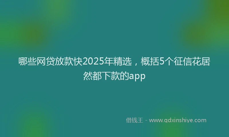 哪些网贷放款快2025年精选，概括5个征信花居然都下款的app