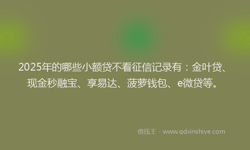2025年的哪些小额贷不看征信记录有：金叶贷、现金秒融宝、享易达、菠萝钱包、e微贷等。