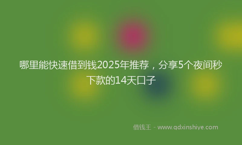 哪里能快速借到钱2025年推荐，分享5个夜间秒下款的14天口子