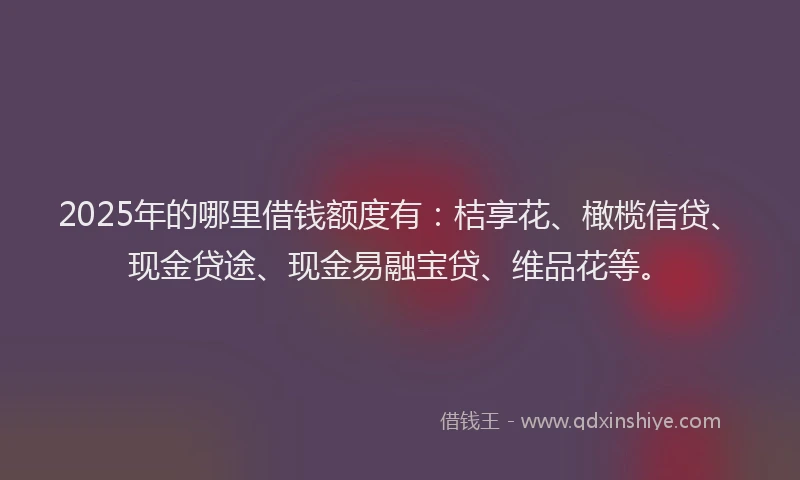 2025年的哪里借钱额度有：桔享花、橄榄信贷、现金贷途、现金易融宝贷、维品花等。