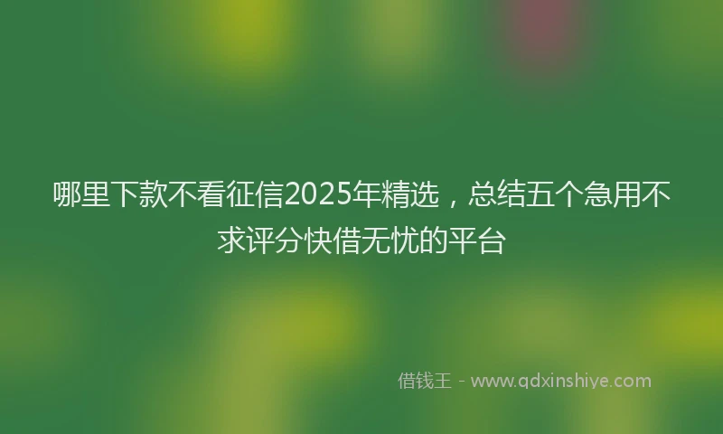哪里下款不看征信2025年精选，总结五个急用不求评分快借无忧的平台