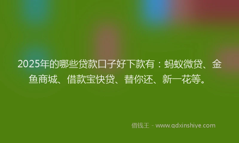 2025年的哪些贷款口子好下款有:蚂蚁微贷、金鱼商城、借款宝快贷、替你还、新一花等。