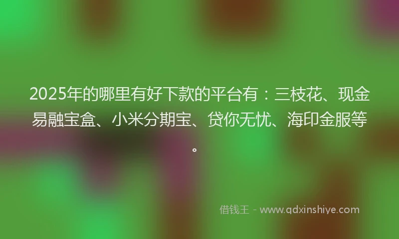 2025年的哪里有好下款的平台有：三枝花、现金易融宝盒、小米分期宝、贷你无忧、海印金服等。