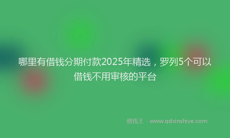 哪里有借钱分期付款2025年精选，罗列5个可以借钱不用审核的平台
