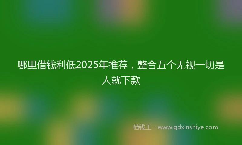 哪里借钱利低2025年推荐，整合五个无视一切是人就下款