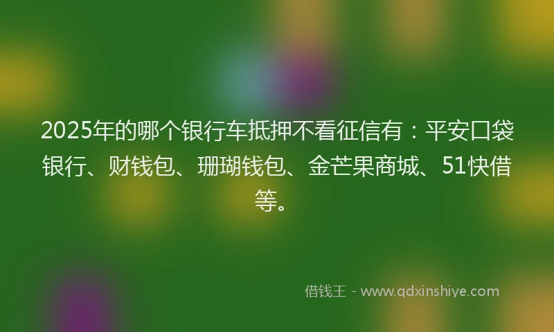 2025年的哪个银行车抵押不看征信有：平安口袋银行、财钱包、珊瑚钱包、金芒果商城、51快借等。