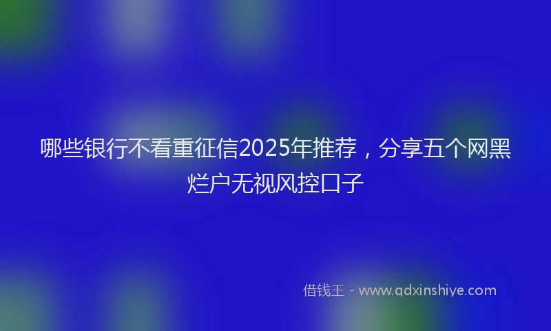 哪些银行不看重征信2025年推荐，分享五个网黑烂户无视风控口子