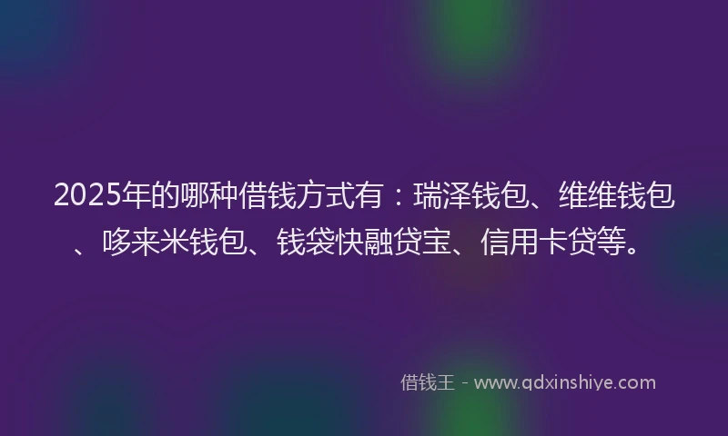 2025年的哪种借钱方式有：瑞泽钱包、维维钱包、哆来米钱包、钱袋快融贷宝、信用卡贷等。
