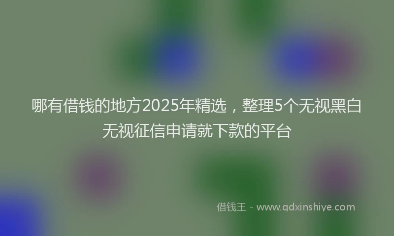 哪有借钱的地方2025年精选，整理5个无视黑白无视征信申请就下款的平台