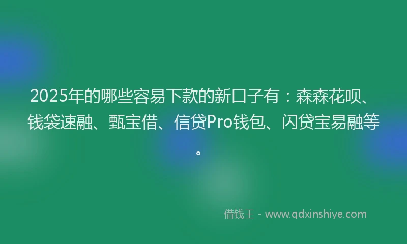 2025年的哪些容易下款的新口子有：森森花呗、钱袋速融、甄宝借、信贷Pro钱包、闪贷宝易融等。