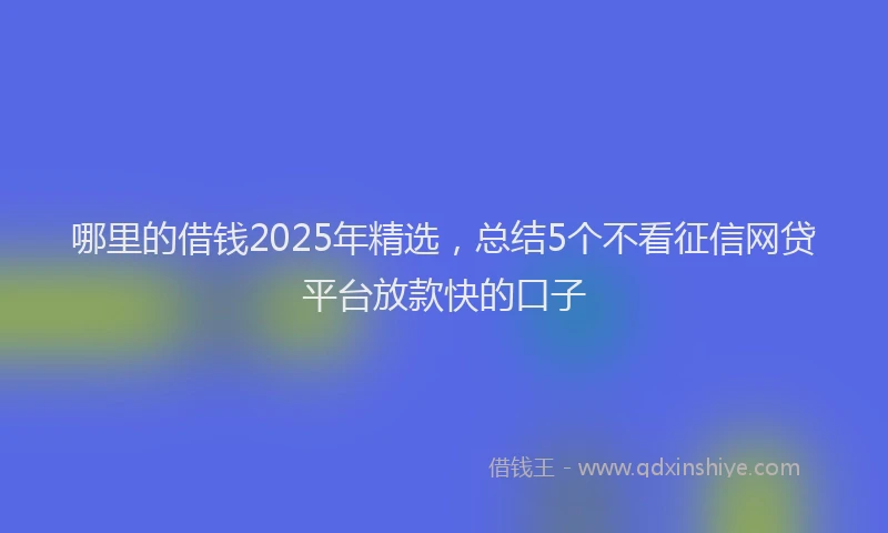 哪里的借钱2025年精选，总结5个不看征信网贷平台放款快的口子