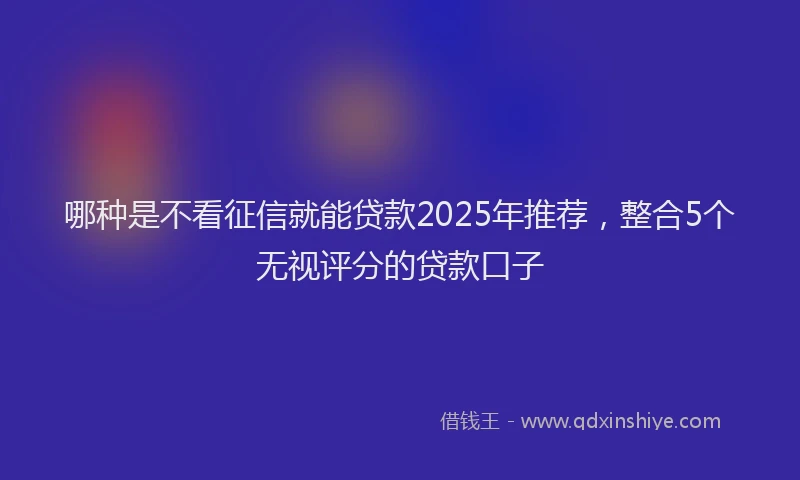 哪种是不看征信就能贷款2025年推荐，整合5个无视评分的贷款口子