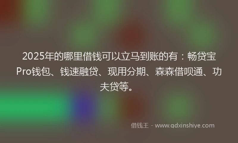 2025年的哪里借钱可以立马到账的有：畅贷宝Pro钱包、钱速融贷、现用分期、森森借呗通、功夫贷等。