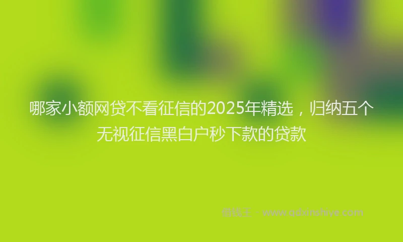 哪家小额网贷不看征信的2025年精选，归纳五个无视征信黑白户秒下款的贷款