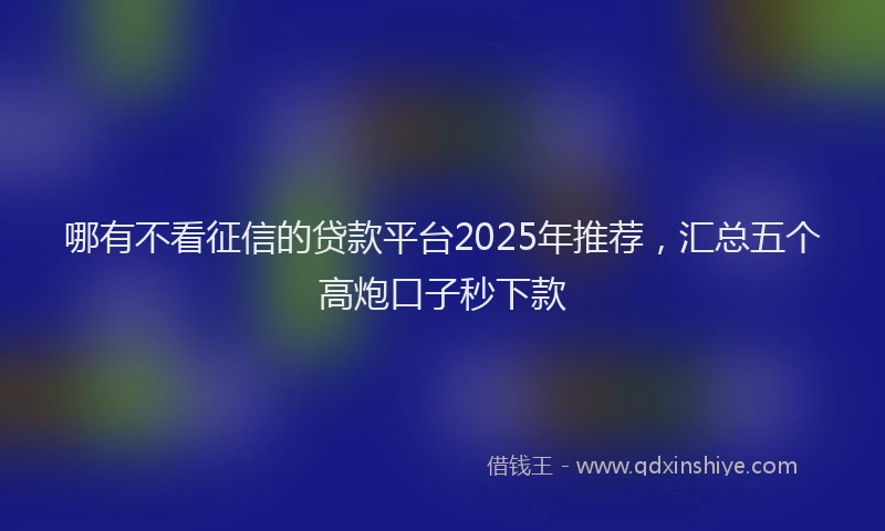 哪有不看征信的贷款平台2025年推荐，汇总五个高炮口子秒下款
