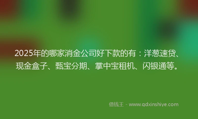 2025年的哪家消金公司好下款的有：洋葱速贷、现金盒子、甄宝分期、掌中宝租机、闪银通等。