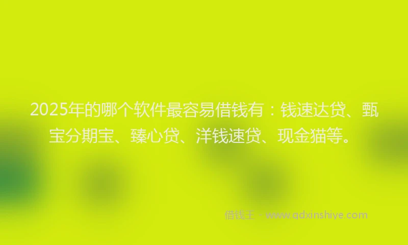 2025年的哪个软件最容易借钱有：钱速达贷、甄宝分期宝、臻心贷、洋钱速贷、现金猫等。