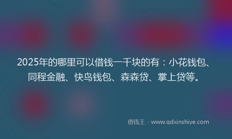 2025年的哪里可以借钱一千块的有：小花钱包、同程金融、快鸟钱包、森森贷、掌上贷等。