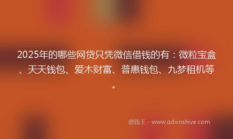 2025年的哪些网贷只凭微信借钱的有：微粒宝盒、天天钱包、爱木财富、普惠钱包、九梦租机等。
