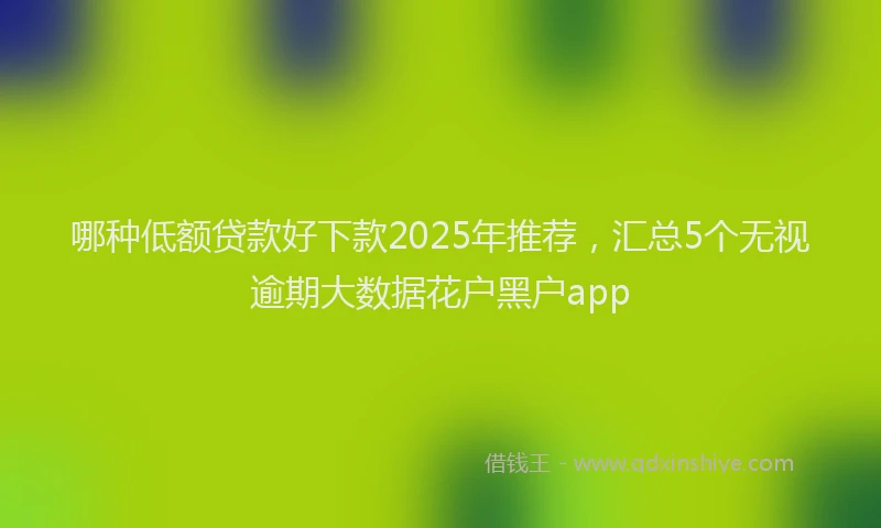 哪种低额贷款好下款2025年推荐，汇总5个无视逾期大数据花户黑户app