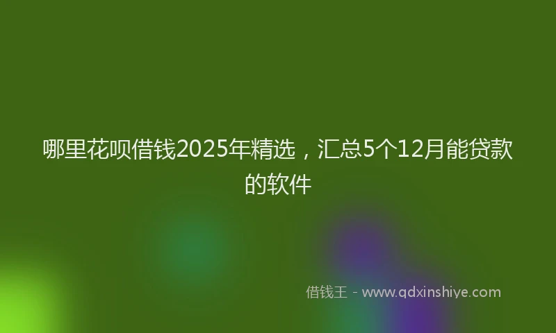哪里花呗借钱2025年精选，汇总5个12月能贷款的软件