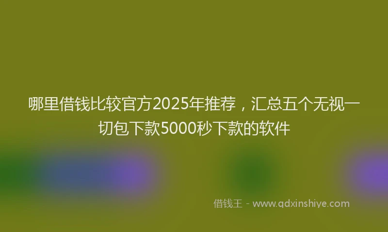 哪里借钱比较官方2025年推荐，汇总五个无视一切包下款5000秒下款的软件