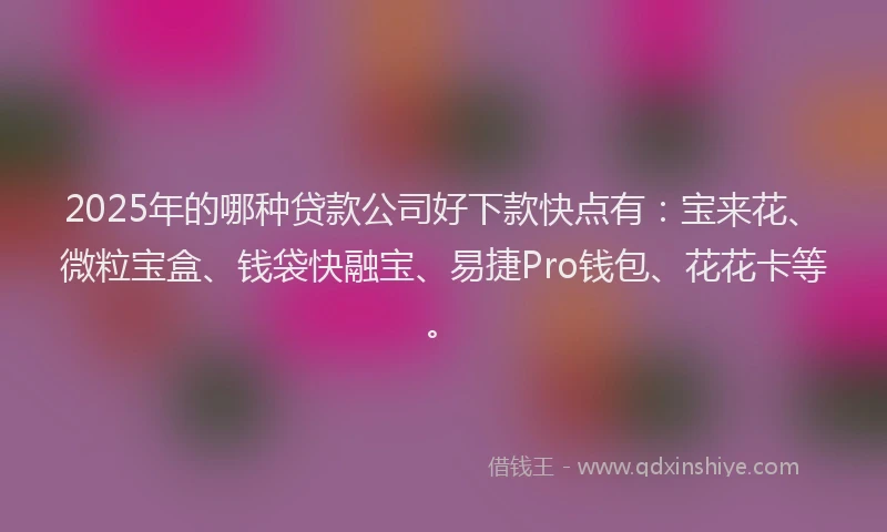 2025年的哪种贷款公司好下款快点有：宝来花、微粒宝盒、钱袋快融宝、易捷Pro钱包、花花卡等。