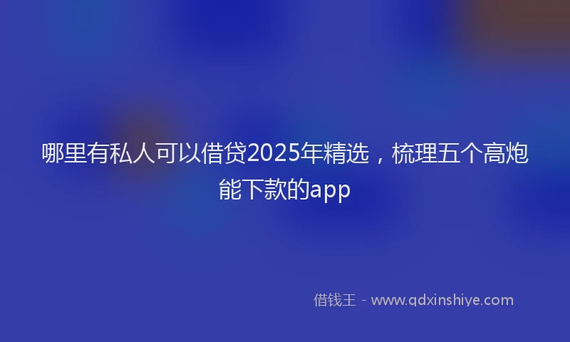 哪里有私人可以借贷2025年精选，梳理五个高炮能下款的app
