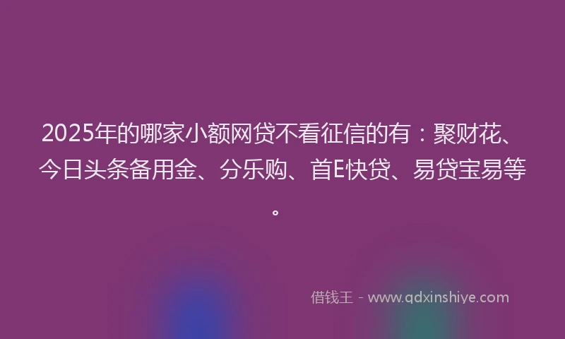 2025年的哪家小额网贷不看征信的有：聚财花、今日头条备用金、分乐购、首E快贷、易贷宝易等。