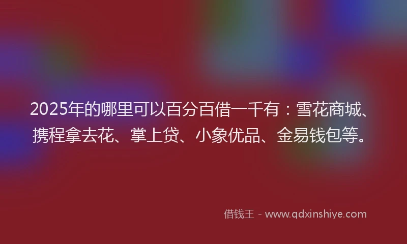 2025年的哪里可以百分百借一千有：雪花商城、携程拿去花、掌上贷、小象优品、金易钱包等。