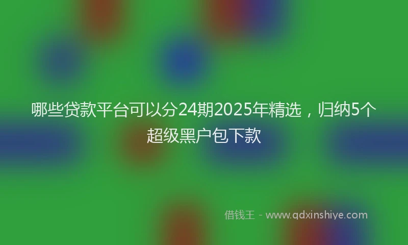 哪些贷款平台可以分24期2025年精选，归纳5个超级黑户包下款