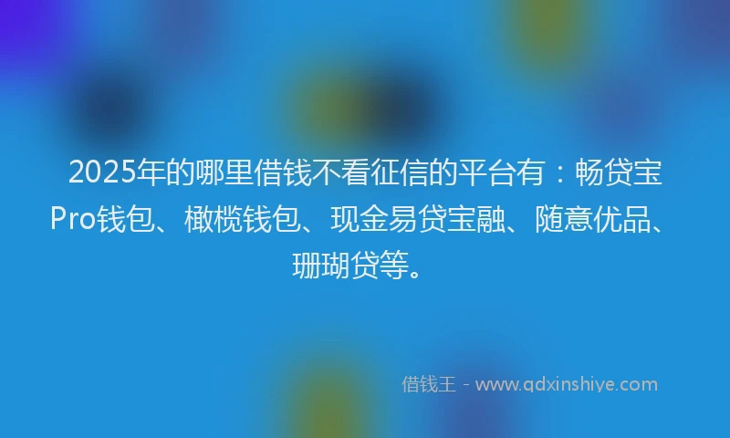 2025年的哪里借钱不看征信的平台有：畅贷宝Pro钱包、橄榄钱包、现金易贷宝融、随意优品、珊瑚贷等。